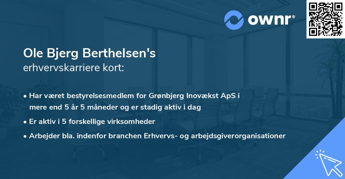 Ole Bjerg Berthelsen's erhvervskarriere kort