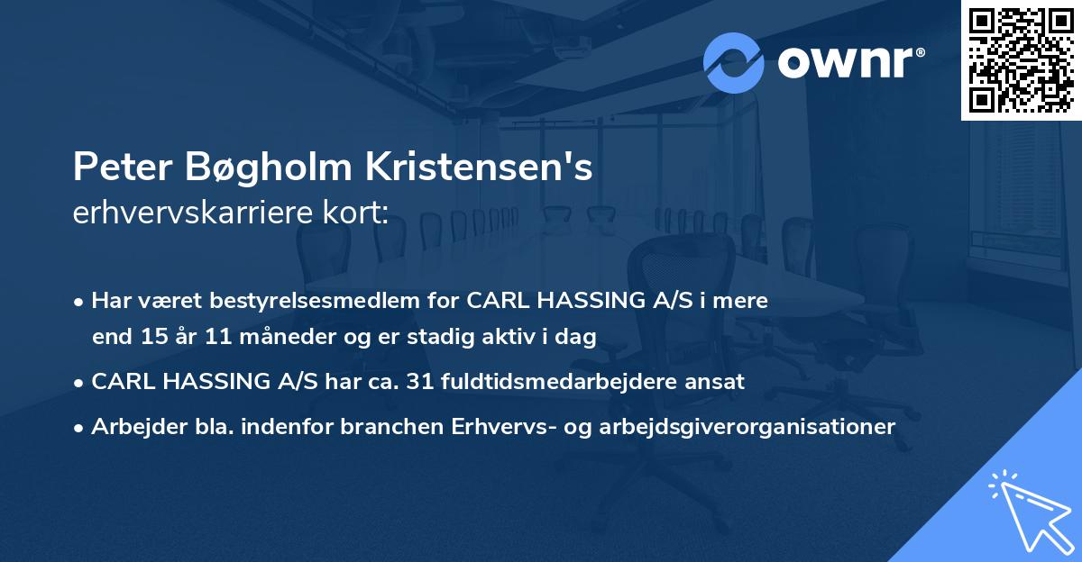 Peter Bøgholm Kristensen's erhvervskarriere kort