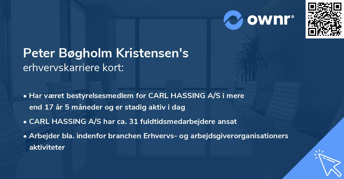 Peter Bøgholm Kristensen's erhvervskarriere kort
