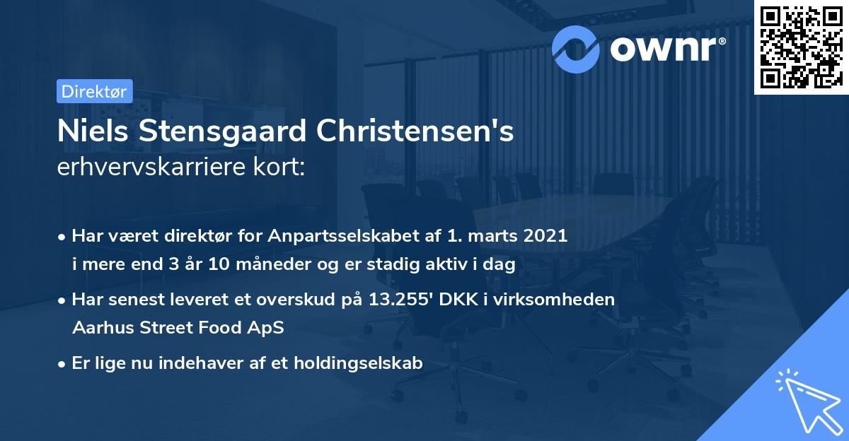 Niels Stensgaard Christensen's erhvervskarriere kort