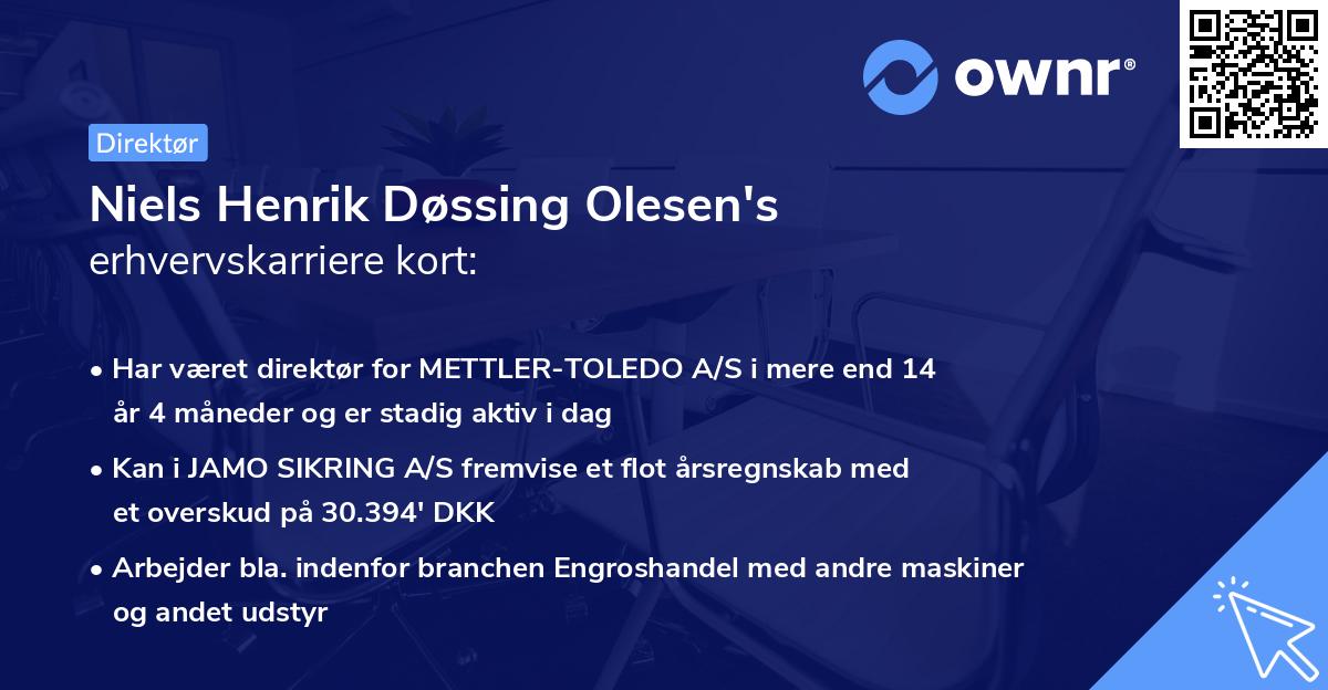 Niels Henrik Døssing Olesen's erhvervskarriere kort
