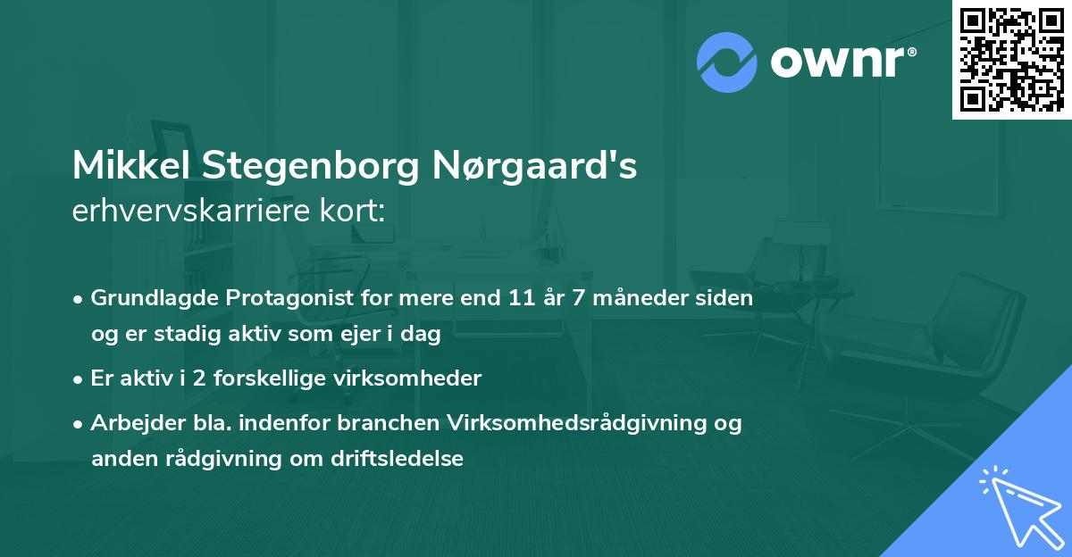 Mikkel Stegenborg Nørgaard's erhvervskarriere kort