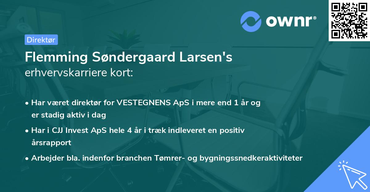 Flemming Søndergaard Larsen's erhvervskarriere kort