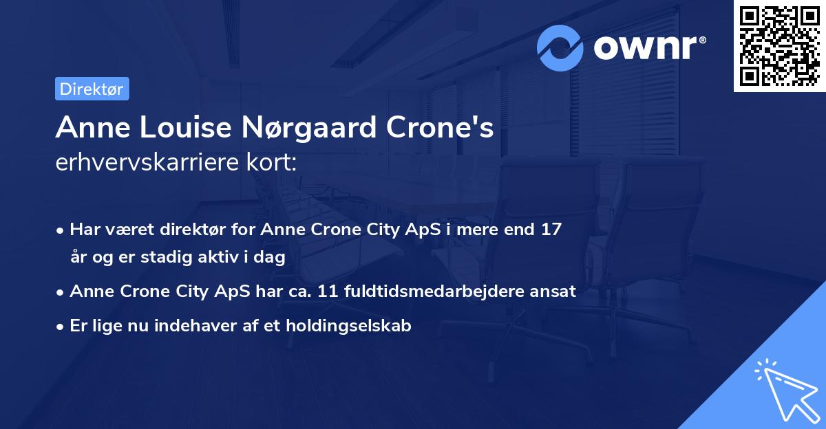 Anne Louise Nørgaard Crone's erhvervskarriere kort