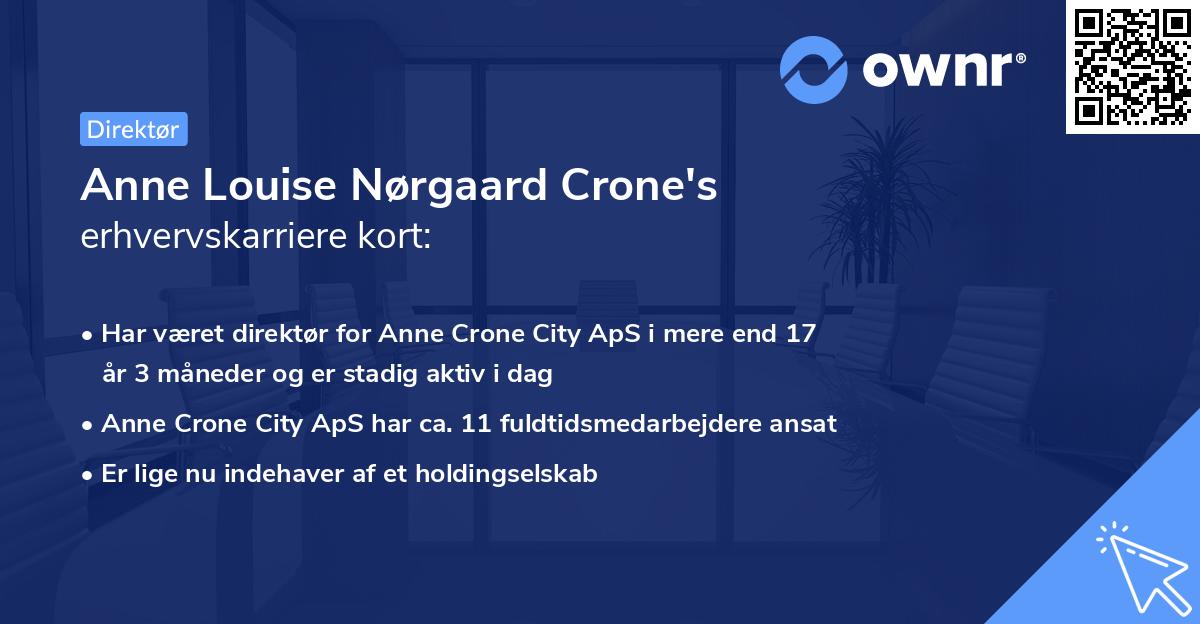 Anne Louise Nørgaard Crone's erhvervskarriere kort