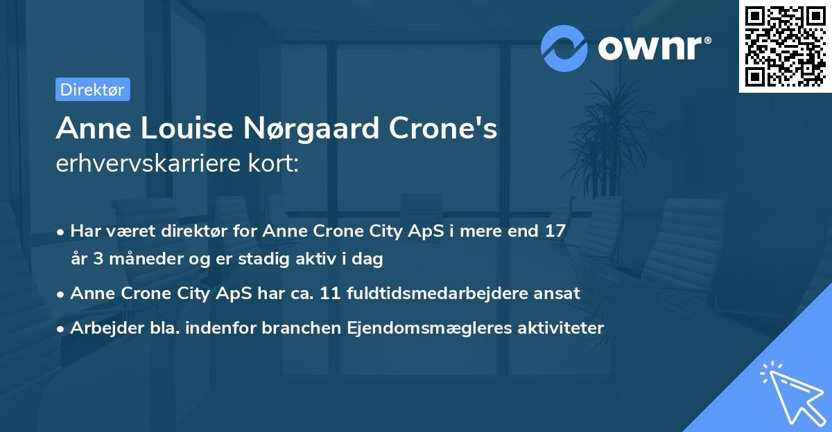 Anne Louise Nørgaard Crone's erhvervskarriere kort