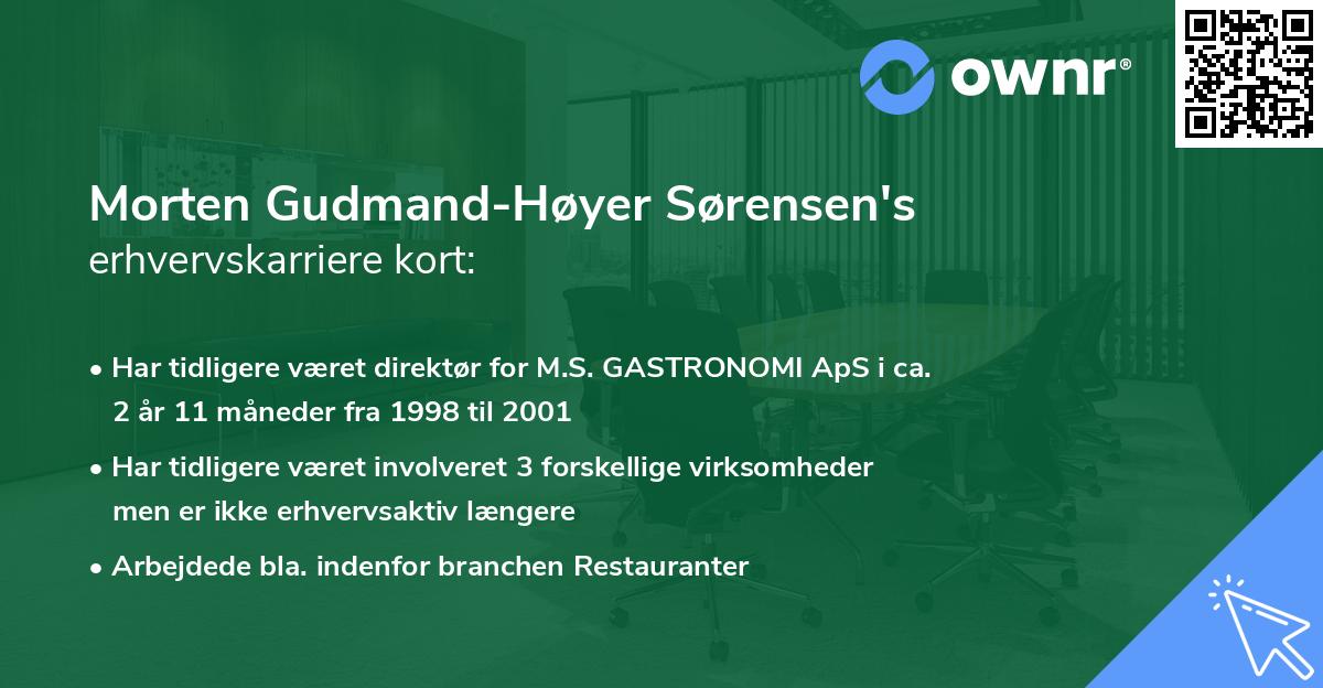 Morten Gudmand-Høyer Sørensen's erhvervskarriere kort