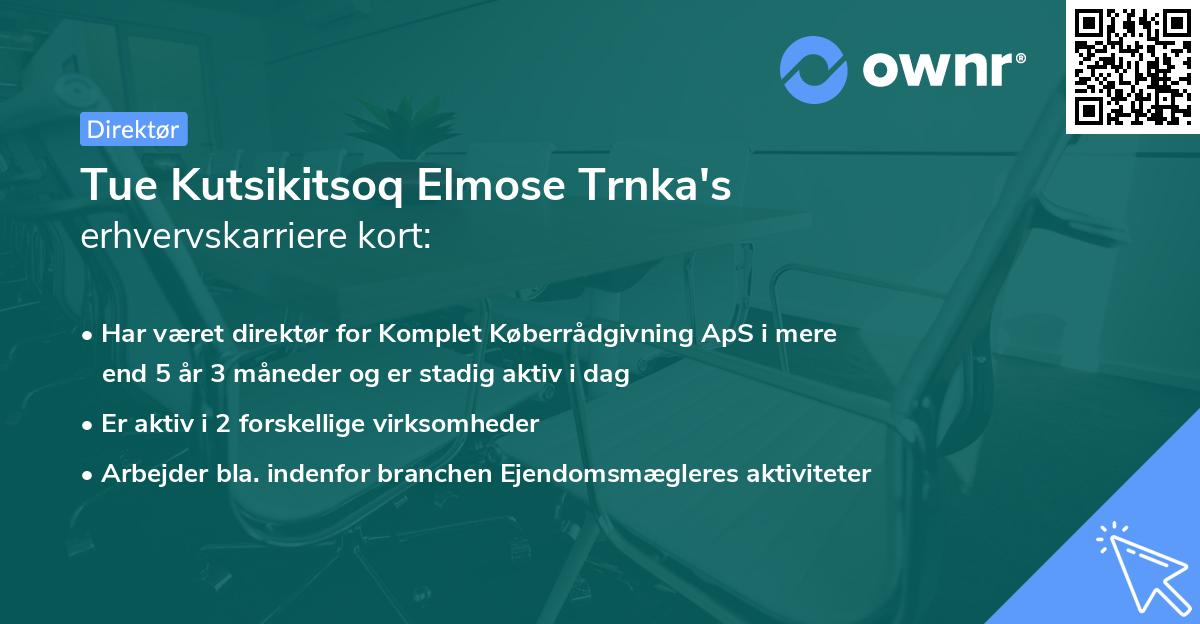 Tue Kutsikitsoq Elmose Trnka's erhvervskarriere kort