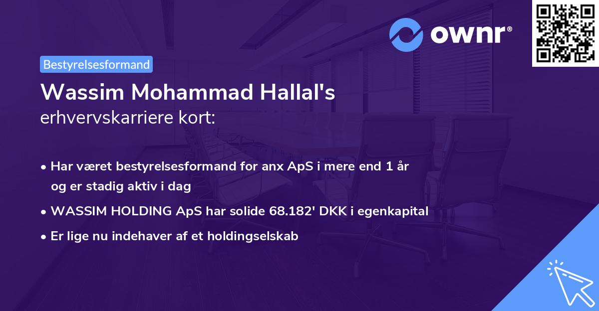 Wassim Mohammad Hallal's erhvervskarriere kort