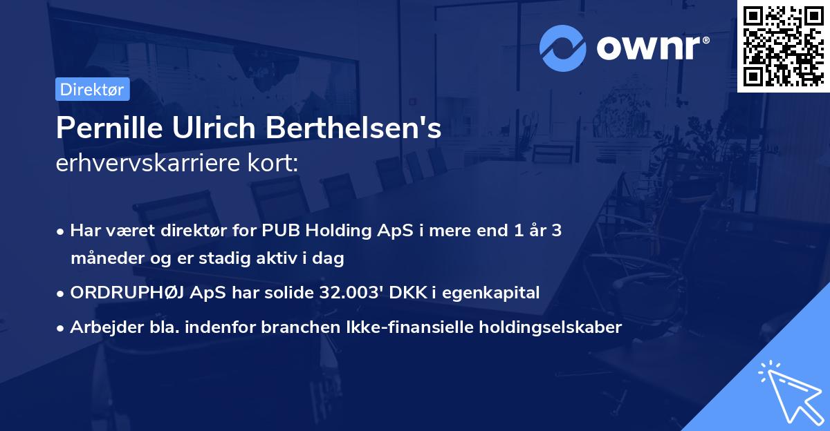 Pernille Ulrich Berthelsen's erhvervskarriere kort