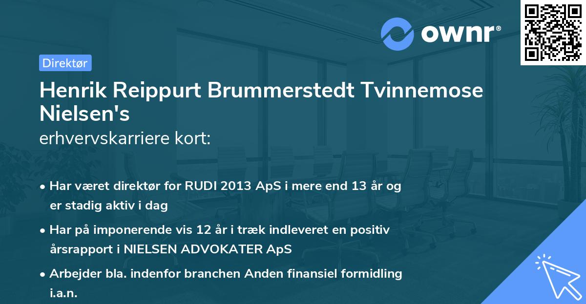 Henrik Reippurt Brummerstedt Tvinnemose Nielsen's erhvervskarriere kort