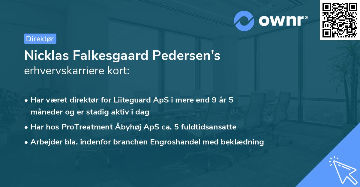 Nicklas Falkesgaard Pedersen's erhvervskarriere kort