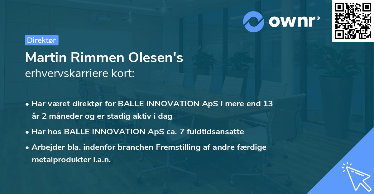 Martin Rimmen Olesen's erhvervskarriere kort