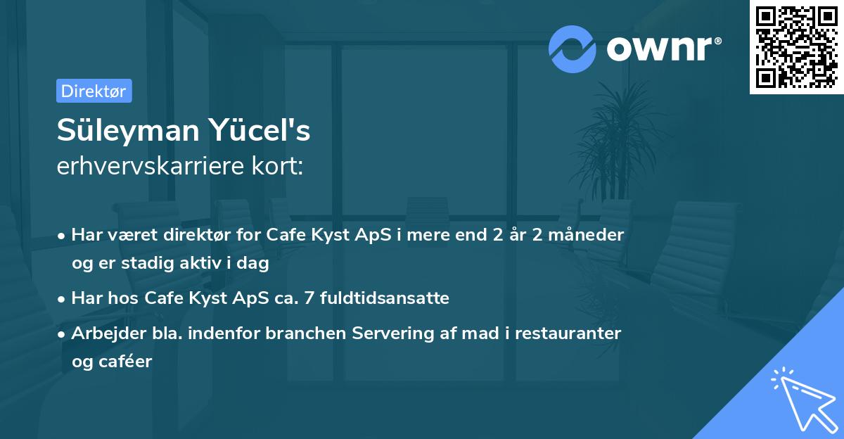 Süleyman Yücel's erhvervskarriere kort