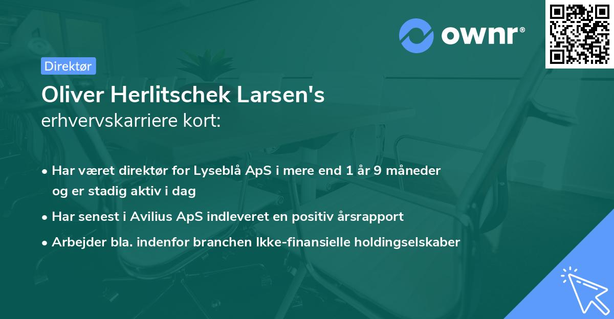 Oliver Herlitschek Larsen's erhvervskarriere kort