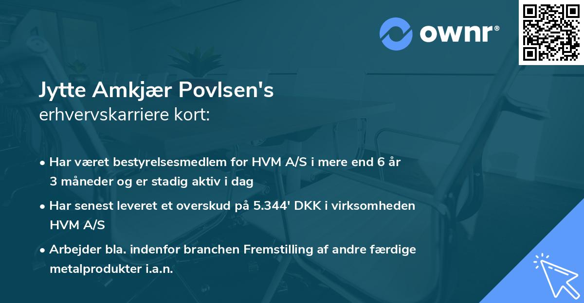 Jytte Amkjær Povlsen's erhvervskarriere kort
