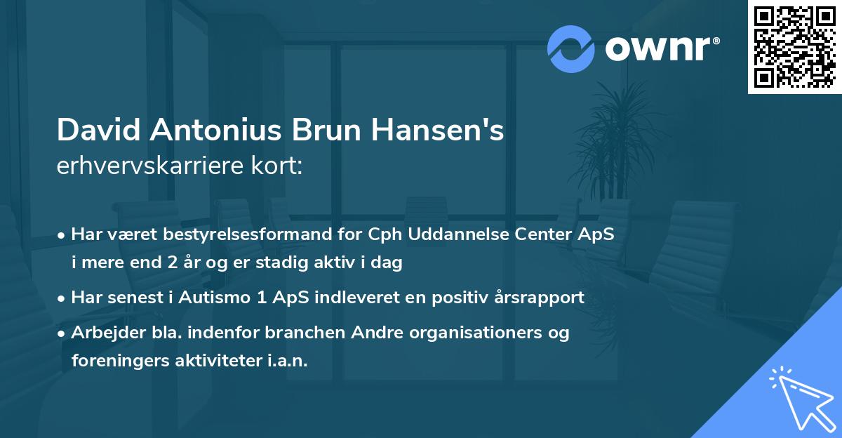 David Antonius Brun Hansen's erhvervskarriere kort