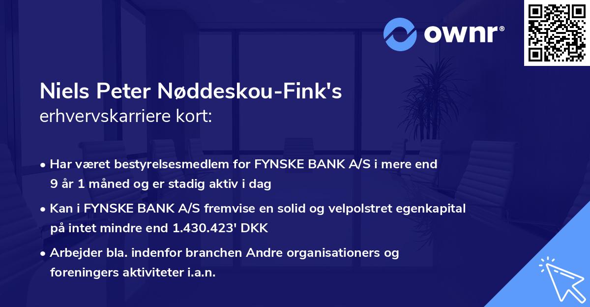 Niels Peter Nøddeskou-Fink's erhvervskarriere kort