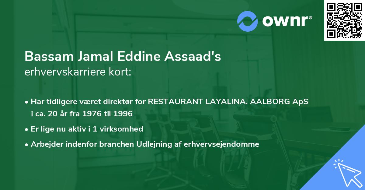 Bassam Jamal Eddine Assaad's erhvervskarriere kort