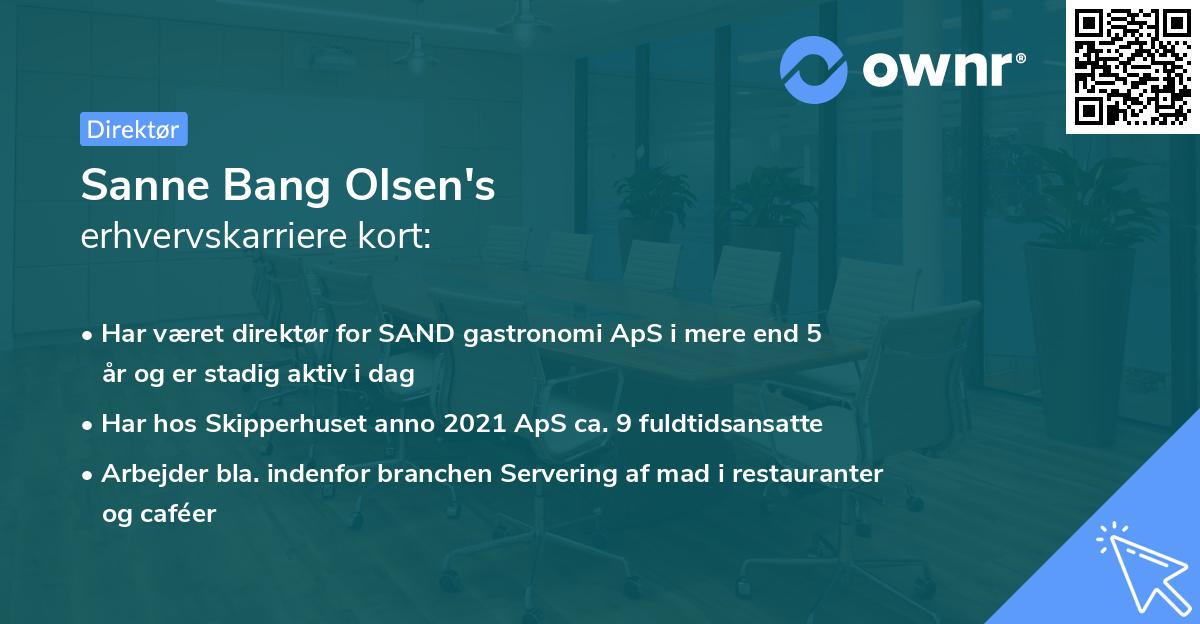 Sanne Bang Olsen's erhvervskarriere kort