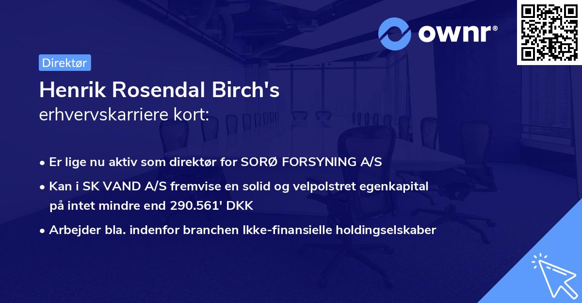 Henrik Rosendal Birch's erhvervskarriere kort