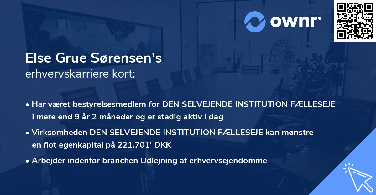 Else Grue Sørensen's erhvervskarriere kort