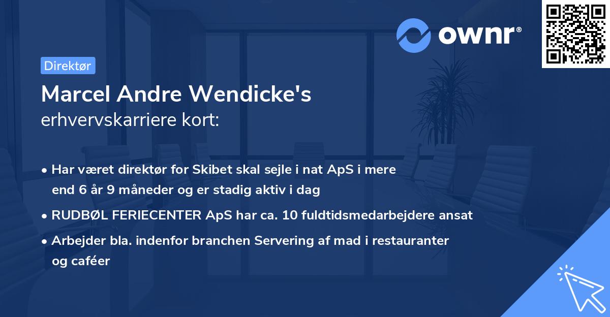 Marcel Andre Wendicke's erhvervskarriere kort