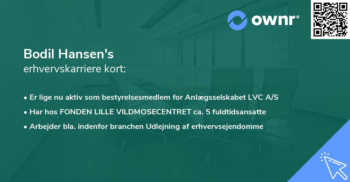 Bodil Hansen's erhvervskarriere kort