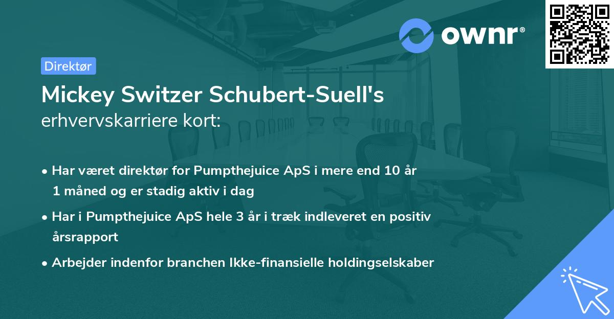 Mickey Switzer Schubert-Suell's erhvervskarriere kort