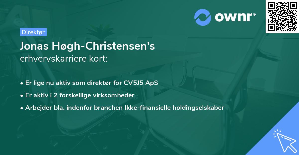 Jonas Høgh-Christensen's erhvervskarriere kort