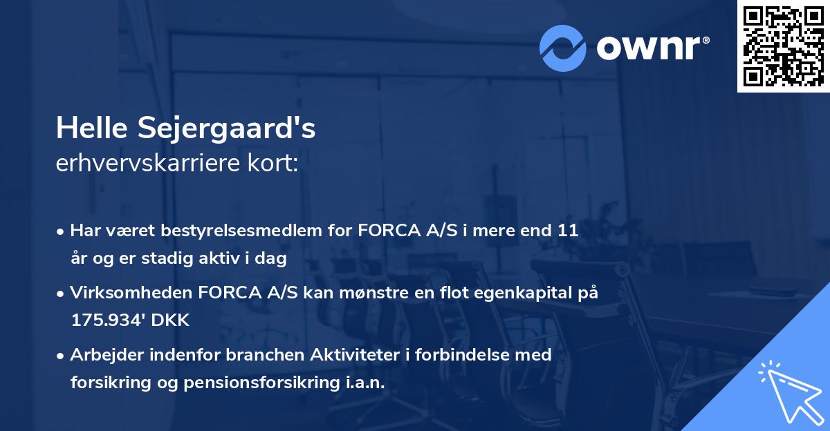 Helle Sejergaard's erhvervskarriere kort