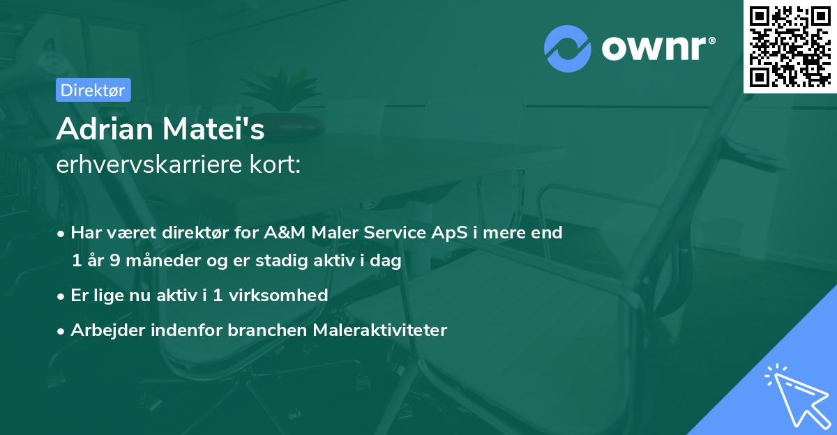 Adrian Matei's erhvervskarriere kort