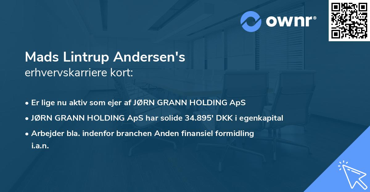 Mads Lintrup Andersen's erhvervskarriere kort