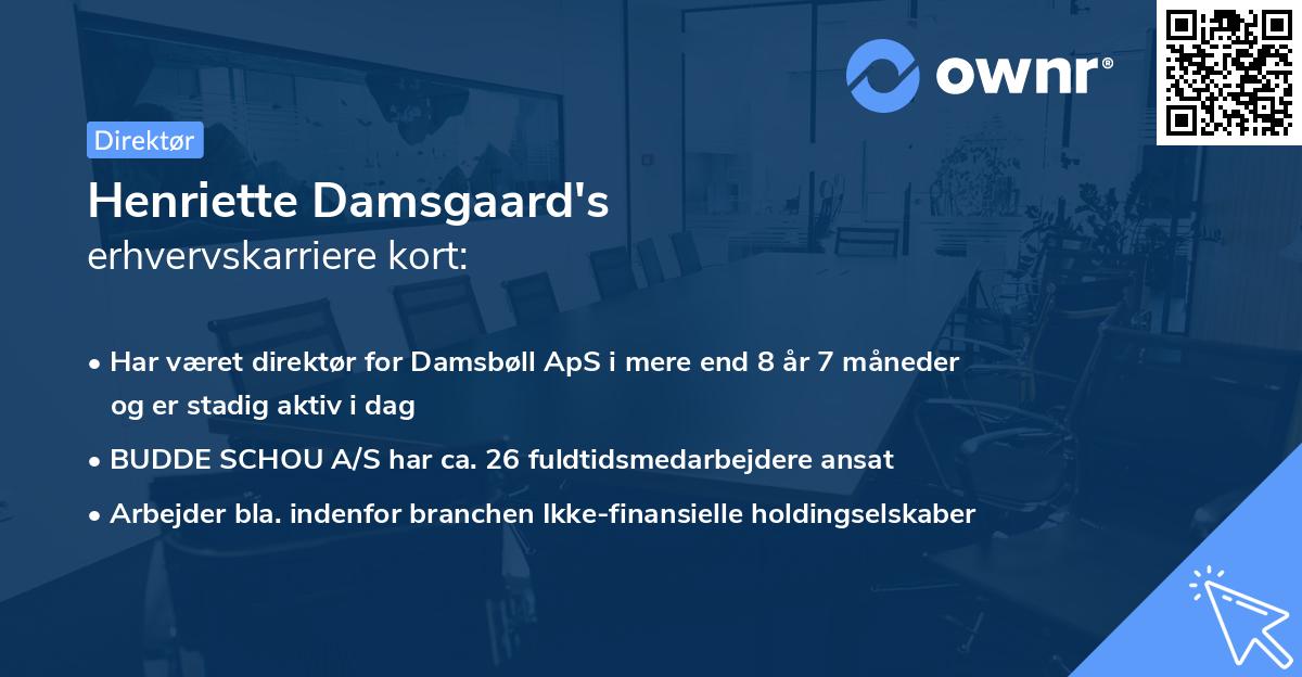 Henriette Damsgaard's erhvervskarriere kort