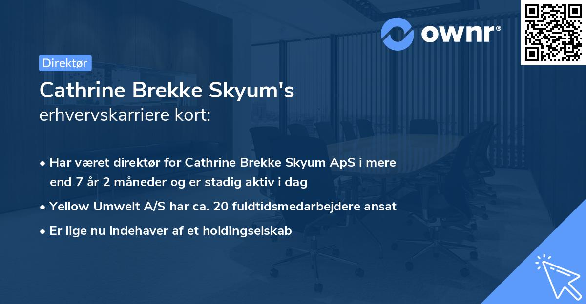 Cathrine Brekke Skyum's erhvervskarriere kort