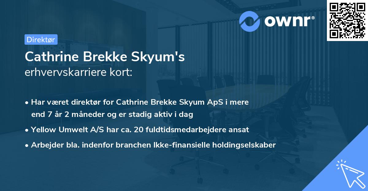 Cathrine Brekke Skyum's erhvervskarriere kort