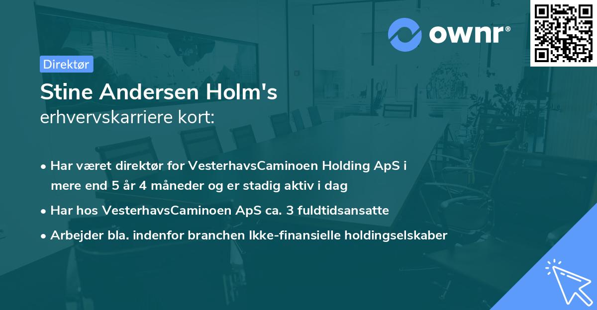 Stine Andersen Holm's erhvervskarriere kort