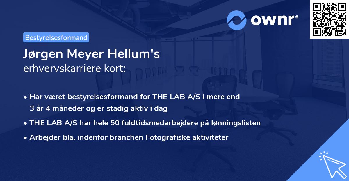 Jørgen Meyer Hellum's erhvervskarriere kort