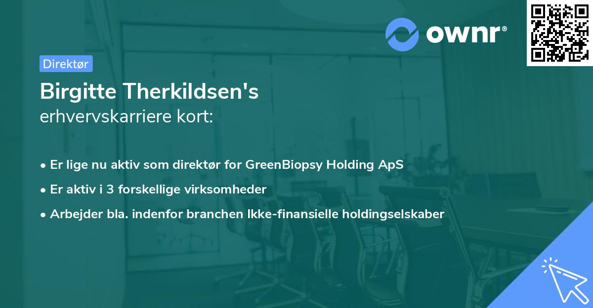 Birgitte Therkildsen's erhvervskarriere kort