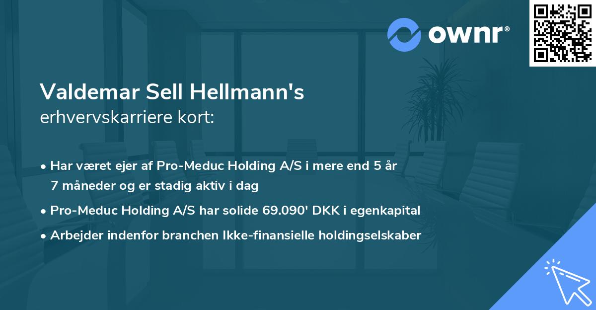 Valdemar Sell Hellmann's erhvervskarriere kort