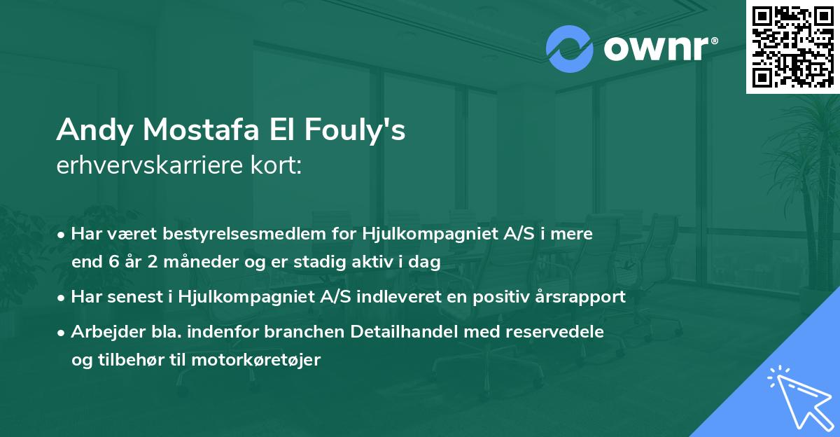Andy Mostafa El Fouly's erhvervskarriere kort