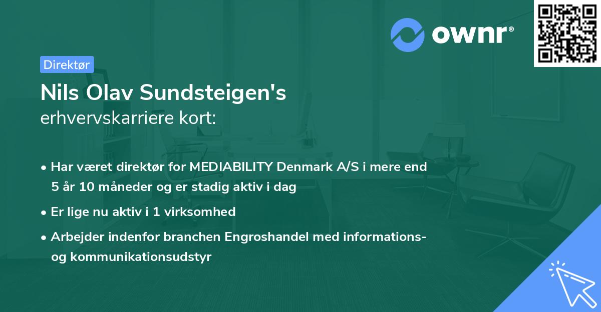 Nils Olav Sundsteigen's erhvervskarriere kort