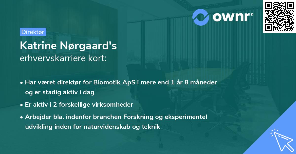 Katrine Nørgaard's erhvervskarriere kort