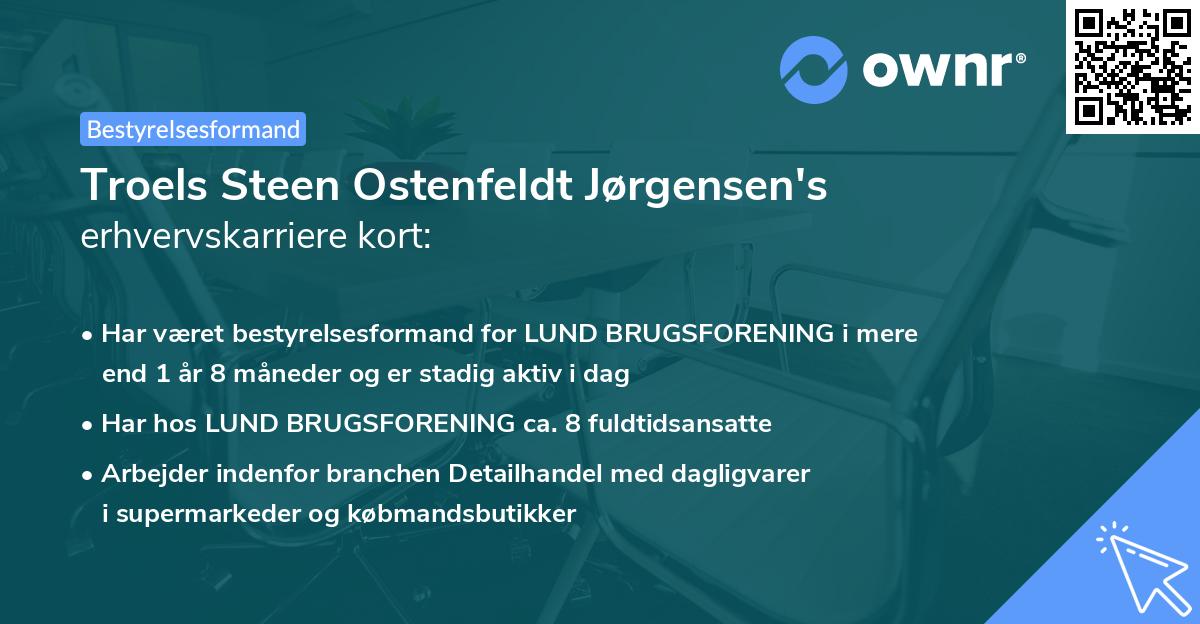 Troels Steen Ostenfeldt Jørgensen's erhvervskarriere kort