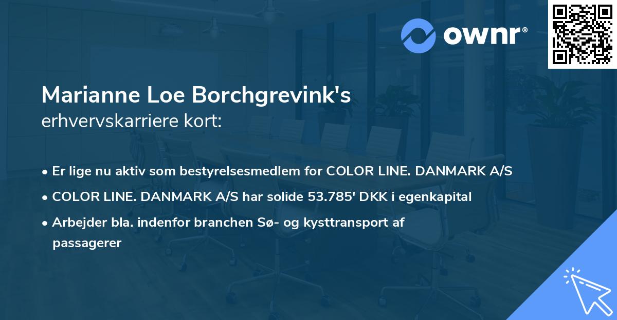 Marianne Loe Borchgrevink's erhvervskarriere kort