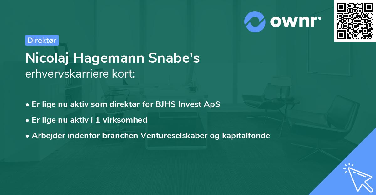 Nicolaj Hagemann Snabe's erhvervskarriere kort