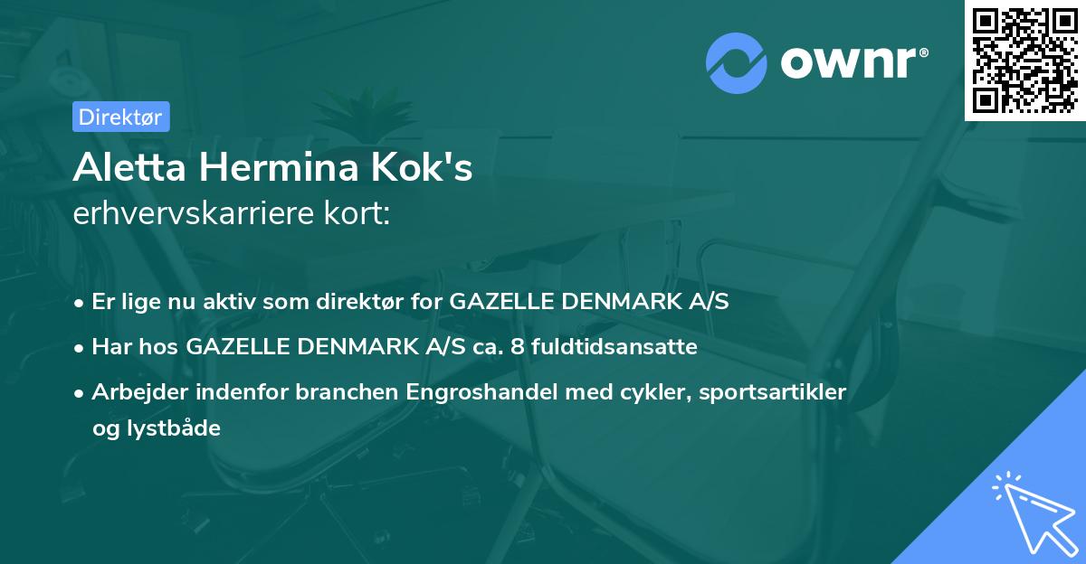 Aletta Hermina Kok's erhvervskarriere kort