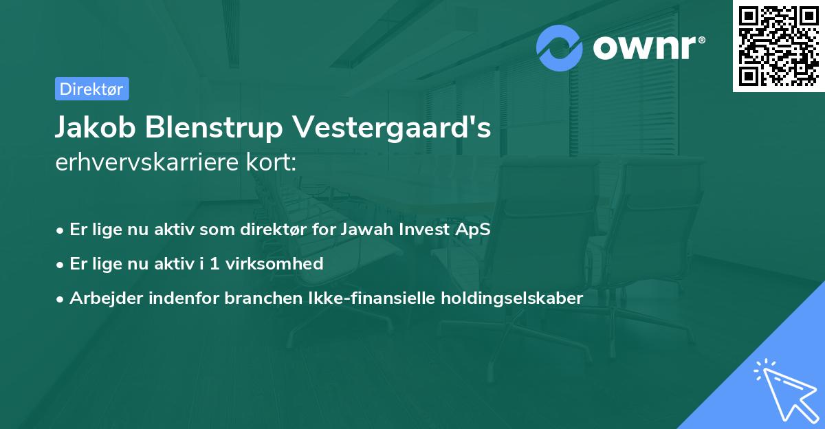 Jakob Blenstrup Vestergaard's erhvervskarriere kort