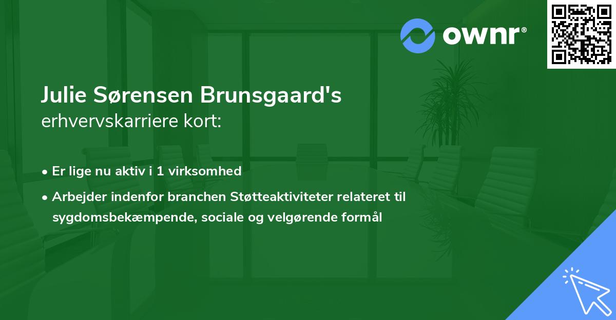 Julie Sørensen Brunsgaard's erhvervskarriere kort