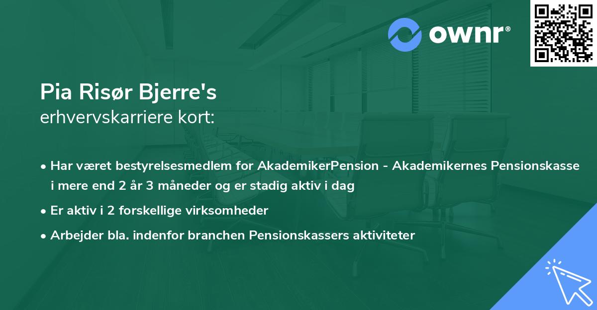 Pia Risør Bjerre's erhvervskarriere kort